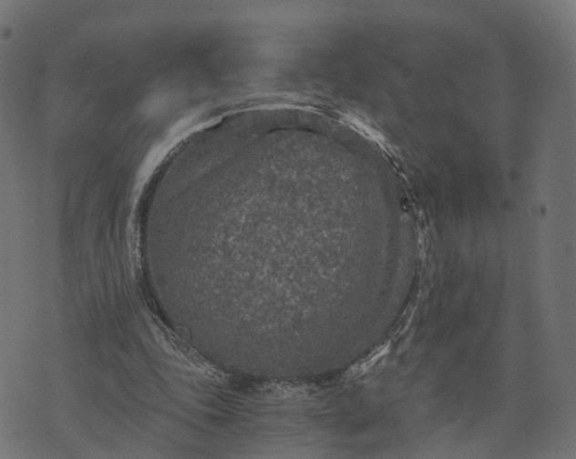 X0000073750343200608171337