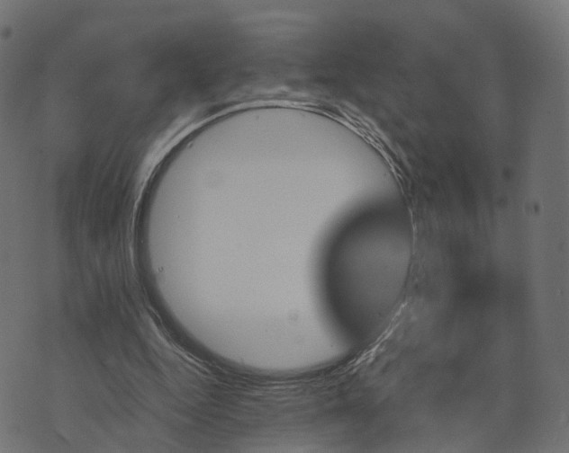 X0000073750344200608171337