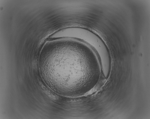 X0000073750345200608171337