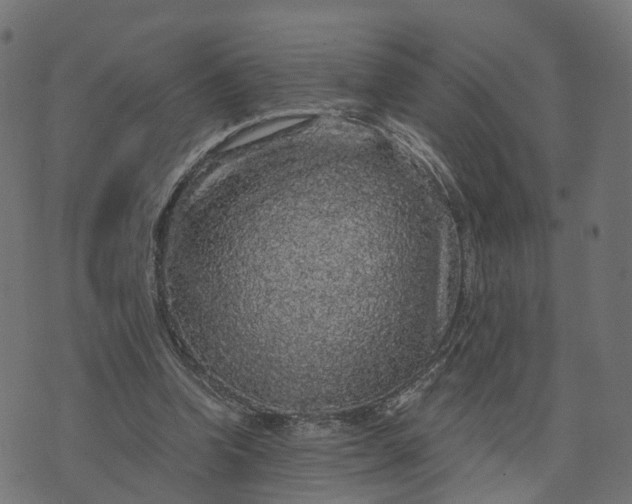 X0000073750346200608171337