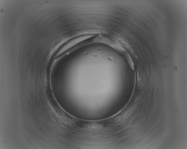 X0000073750348200608171337