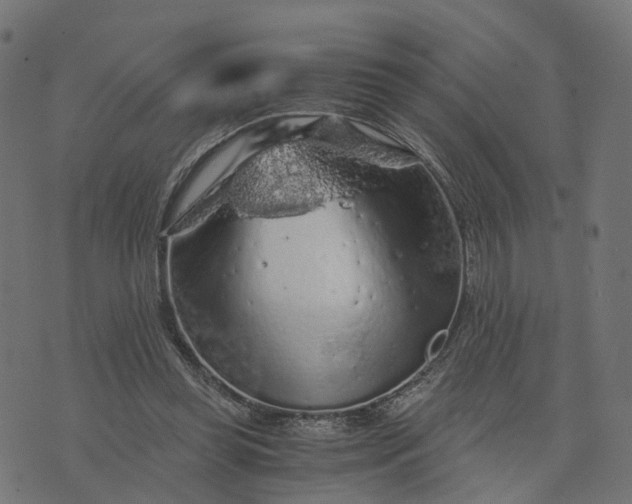 X0000073750349200608171337