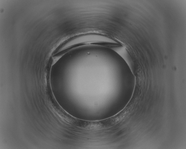 X0000073750350200608171337