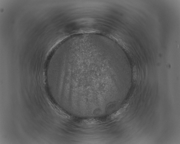 X0000073750351200608171337