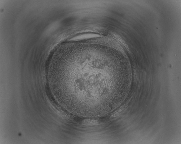 X0000073750354200608171337