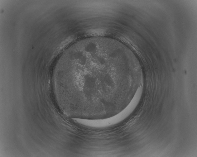 X0000073750355200608171337