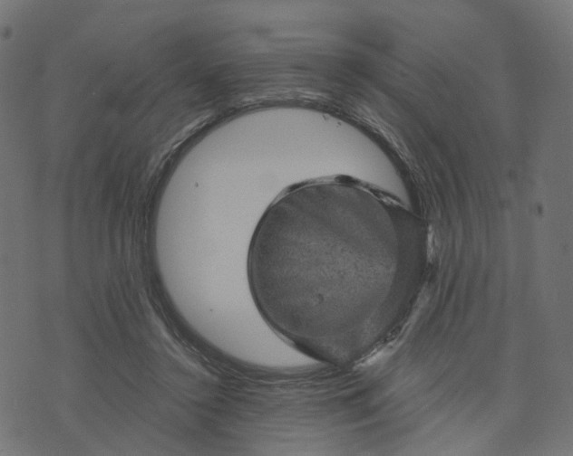 X0000073750356200608171337