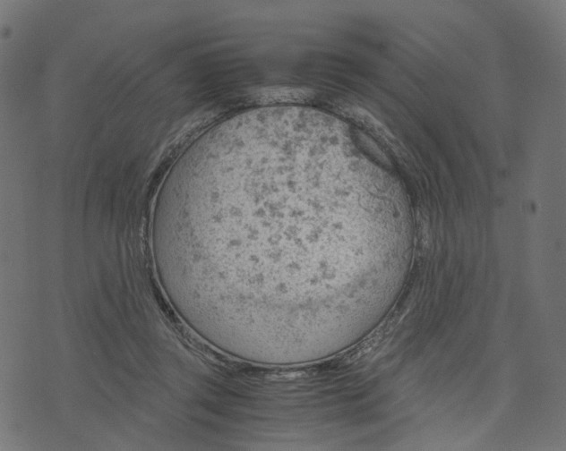 X0000073750357200608171337