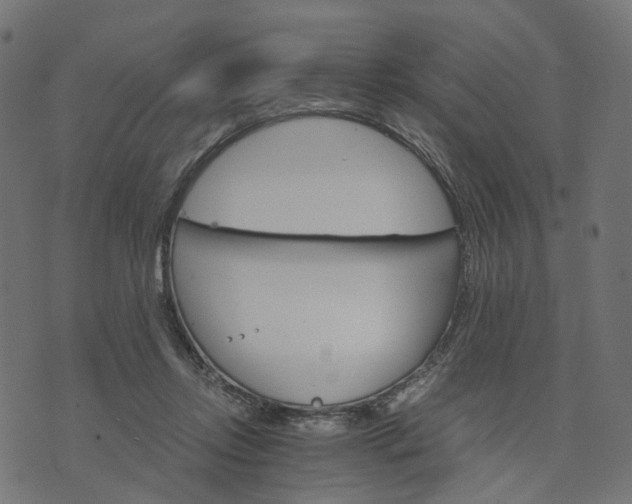 X0000073750358200608171337