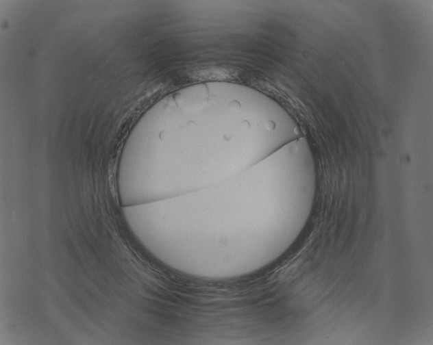 X0000073750359200608171337