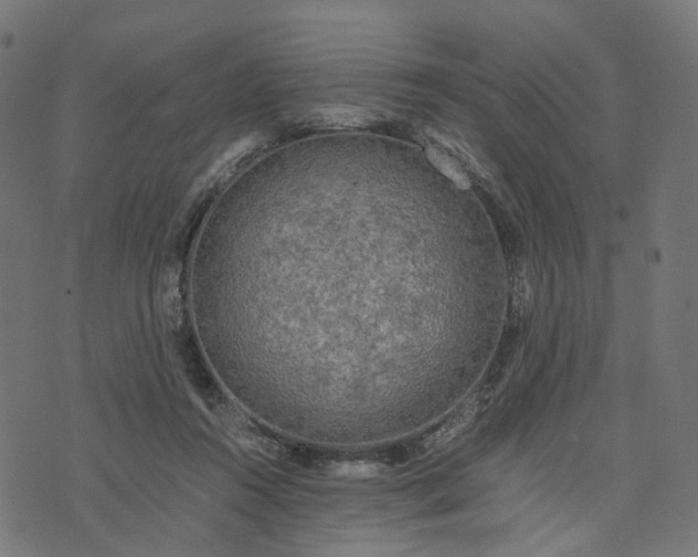 X0000073750360200608171337