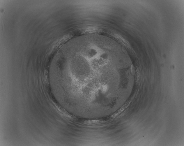 X0000073750361200608171337