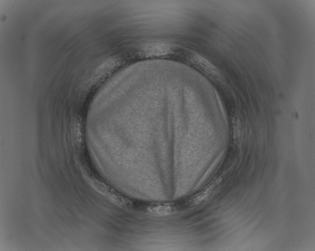 X0000073750362200608171337