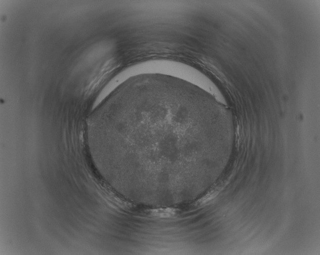 X0000073750363200608171337