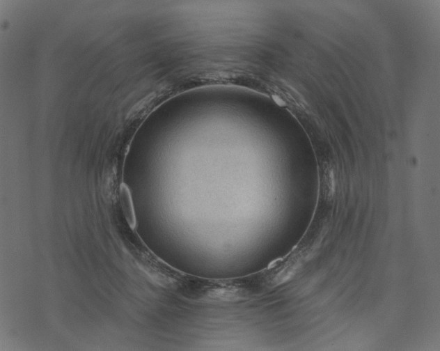 X0000073750364200608171337