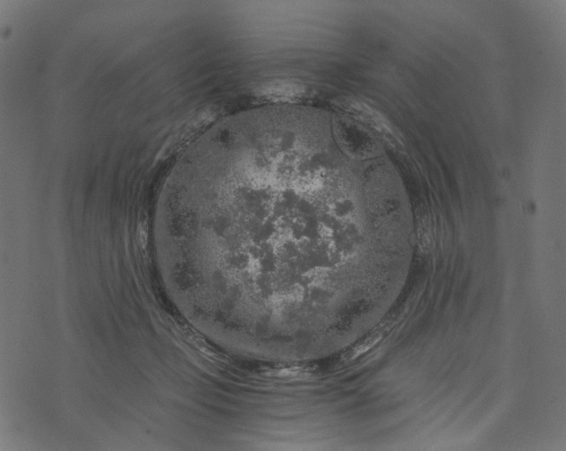 X0000073750365200608171337