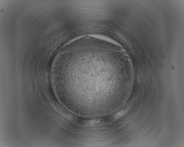 X0000073750366200608171337