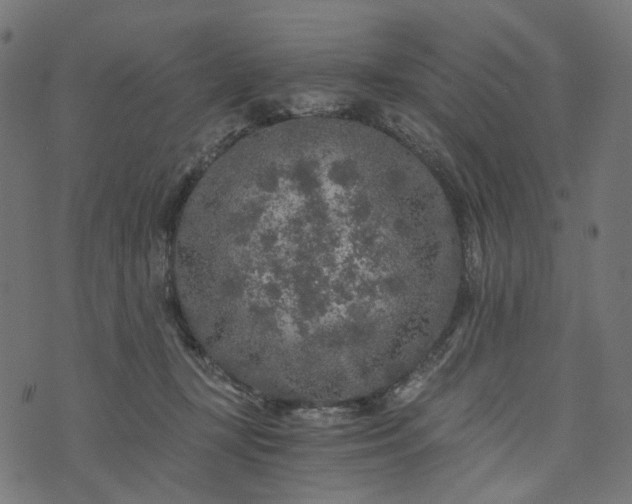 X0000073750367200608171337