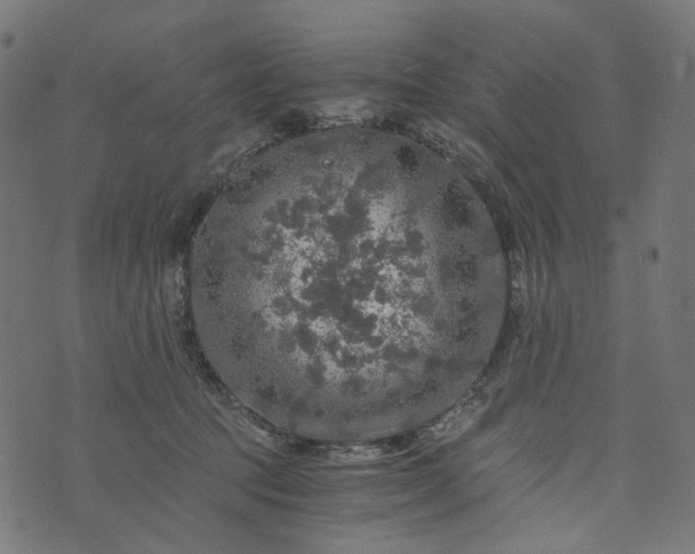 X0000073750369200608171337