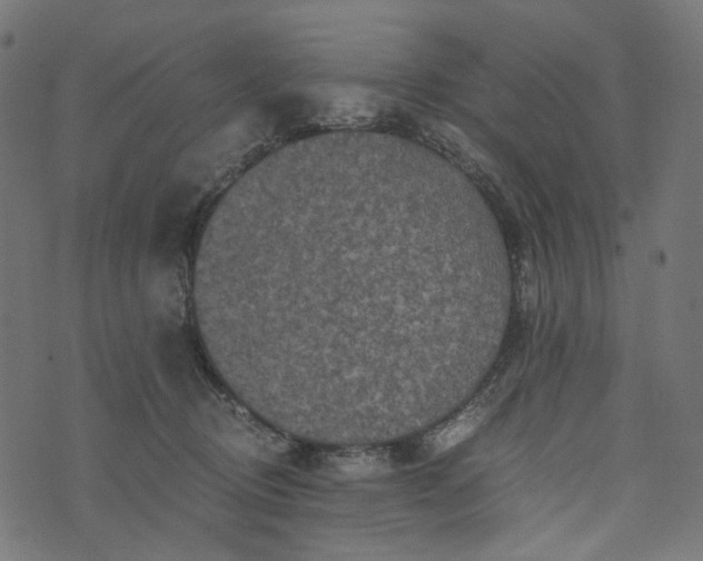 X0000073750370200608171337