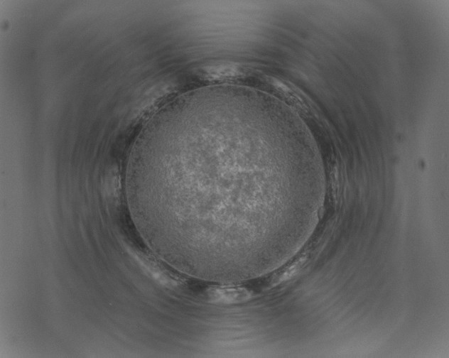 X0000073750372200608171337