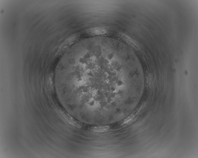 X0000073750373200608171337