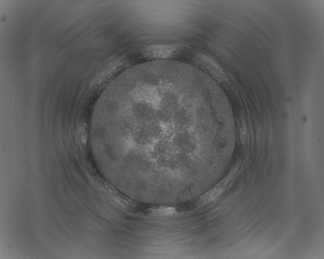 X0000073750374200608171337