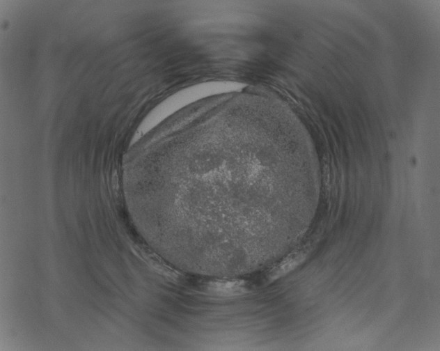 X0000073750375200608171337