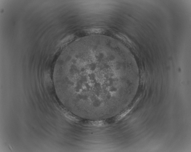 X0000073750377200608171337