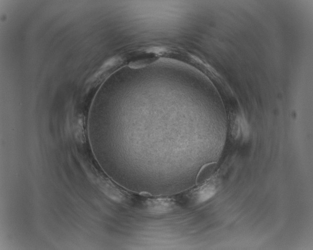 X0000073750378200608171337