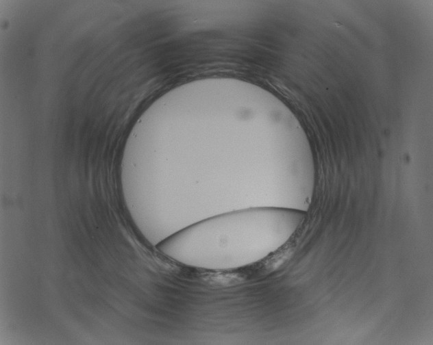 X0000073750379200608171337