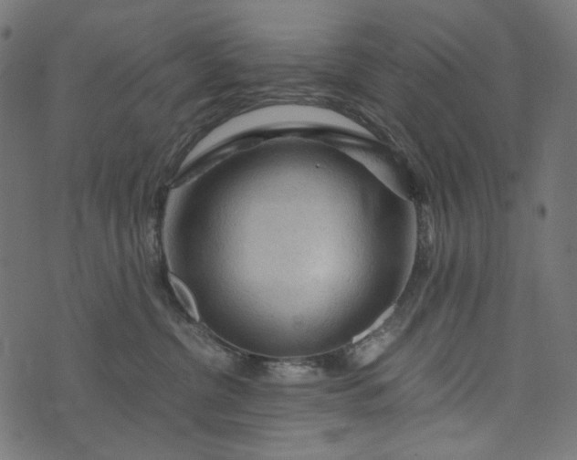 X0000073750380200608171337