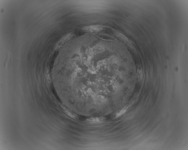 X0000073750381200608171337