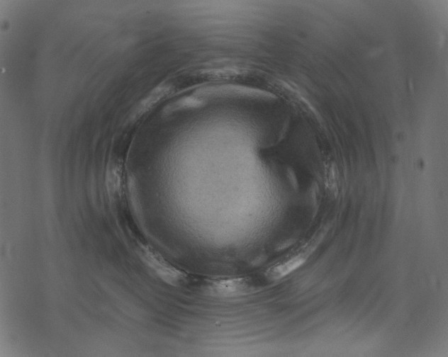 X0000073750382200608171337