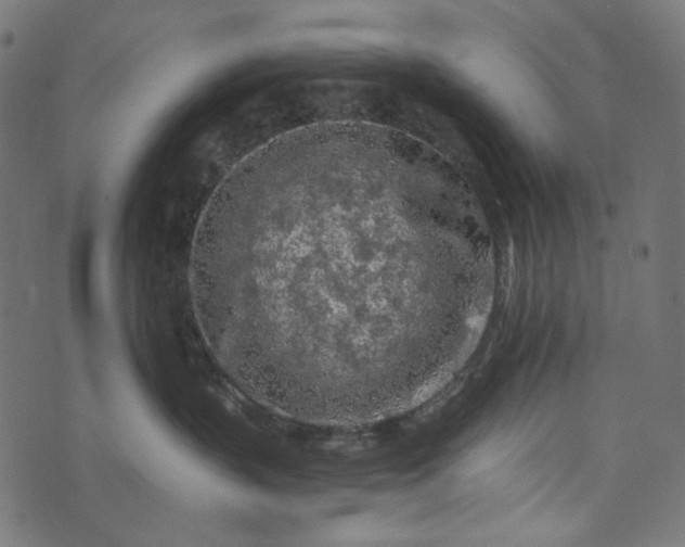 X0000073750383200608171337