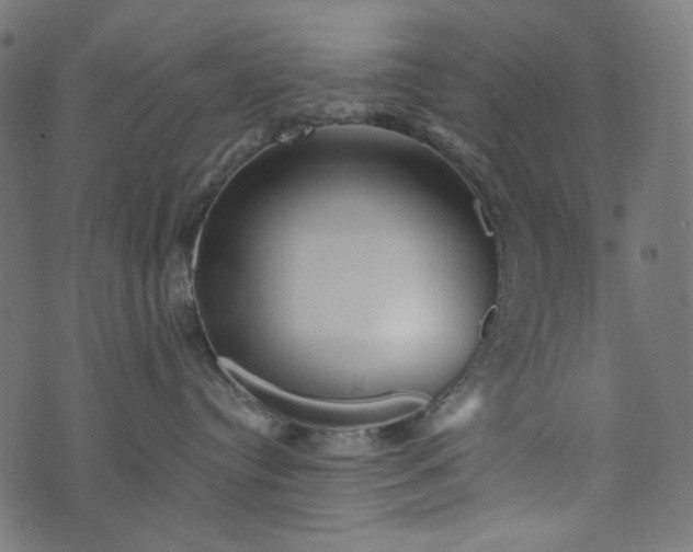 X0000073750384200608171337