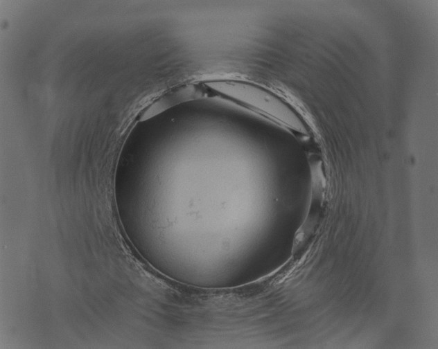 X0000073750385200608171337