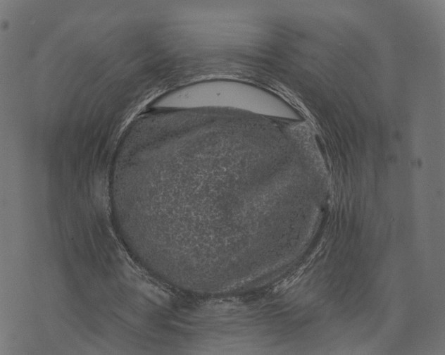 X0000073750386200608171337