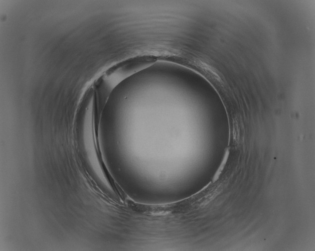 X0000073750388200608171336