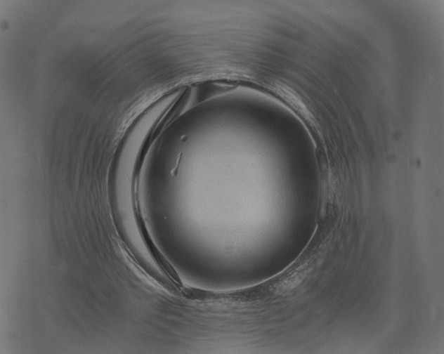 X0000073750389200608171336