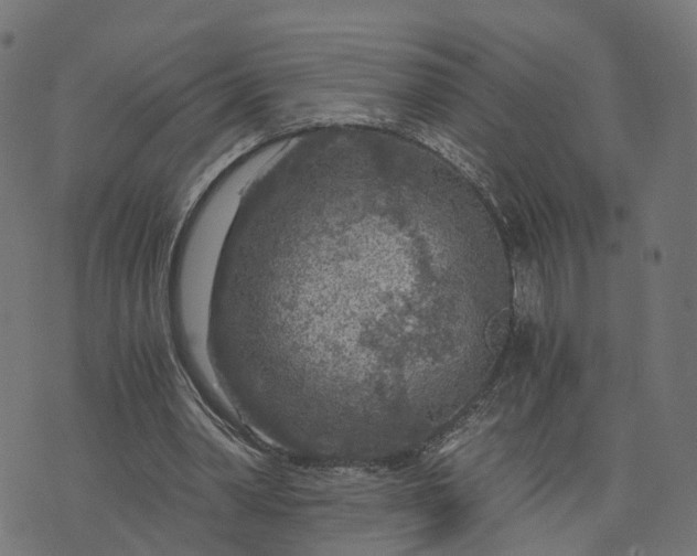 X0000073750390200608171336