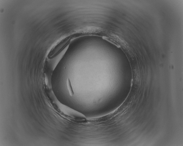 X0000073750392200608171336