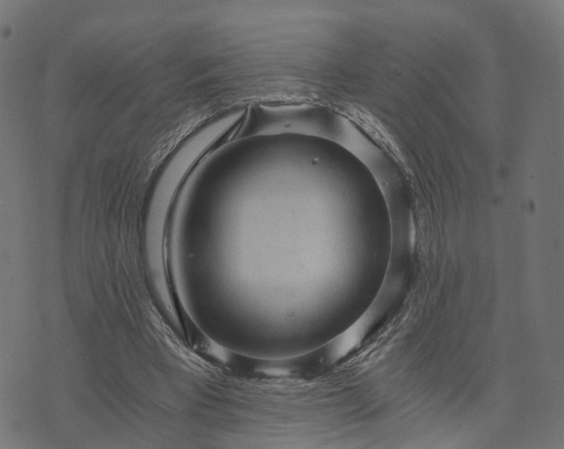 X0000073750393200608171336