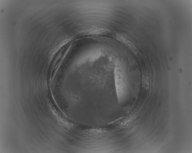 X0000073750394200608171336