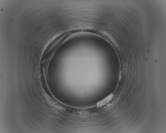 X0000073750395200608171336