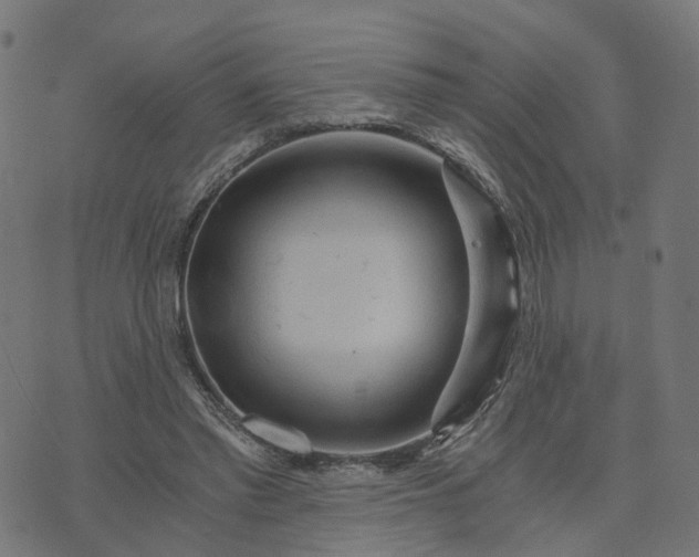 X0000073750397200608171336