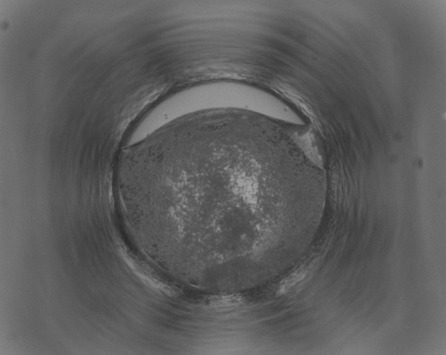 X0000073750398200608171336