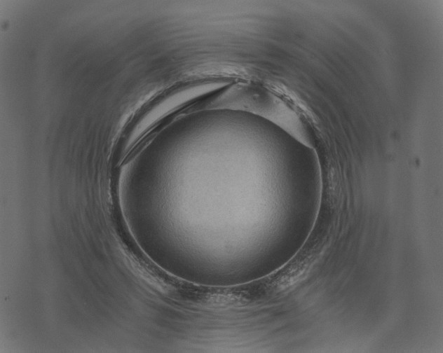 X0000073750399200608171336