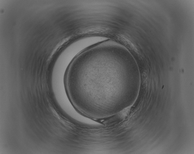 X0000073750400200608171336