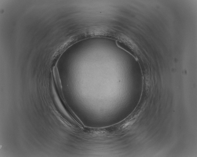 X0000073750401200608171336